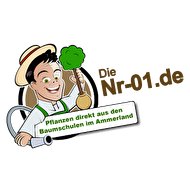 Nr-01.de Logo