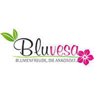 Bluvesa Logo