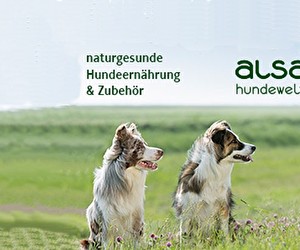 Aktion bei alsa Hundewelt