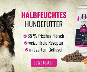 Aktion bei Lucky-Pet