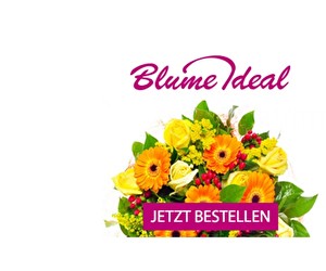 Aktion bei Blume Ideal