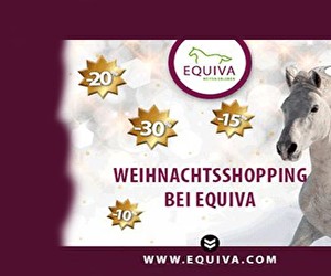 Aktion bei EQUIVA