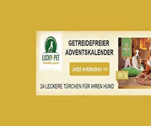 Aktion bei Lucky-Pet