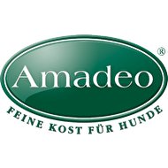Amadeo Logo