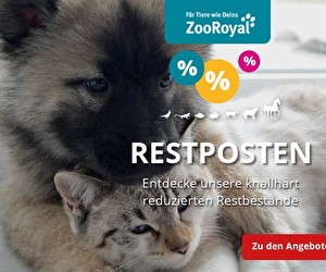 Aktion bei ZooRoyal