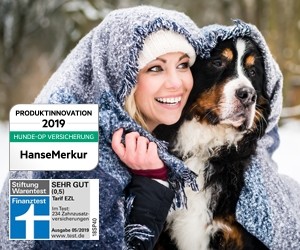 Aktion Bei Hansemerkur Advent Deals Hunde Op Versicherung Zahnzusatzversicherung Bis Zu 75 Cashback Getmore De