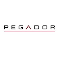 Pegador Logo