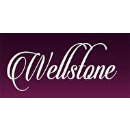 Wellstone Logo