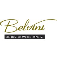 BELViNi Logo