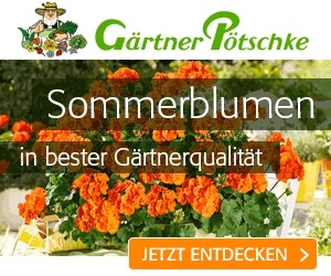 Aktion bei Gärtner Pötschke