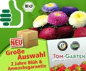 Aktion bei TOM GARTEN