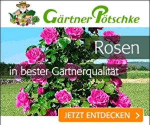 Aktion bei Gärtner Pötschke