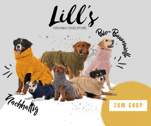 Aktion bei Lill's Store