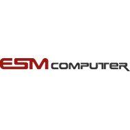 ESM-Computer Logo